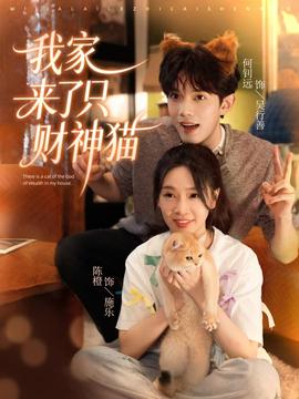 我家来了只财神猫